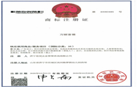 模块标题